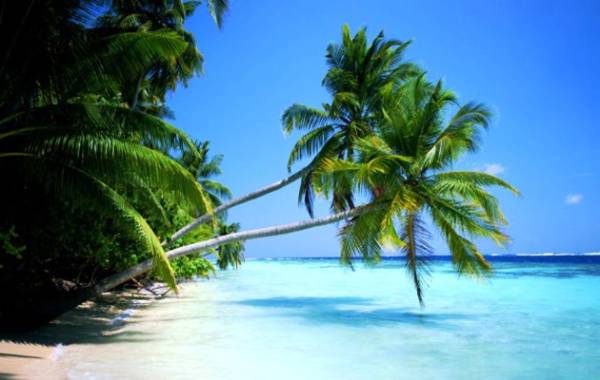 Playa del Caribe
