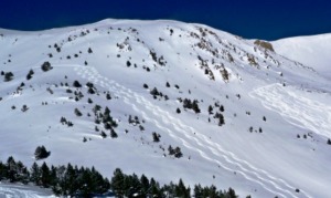 ski