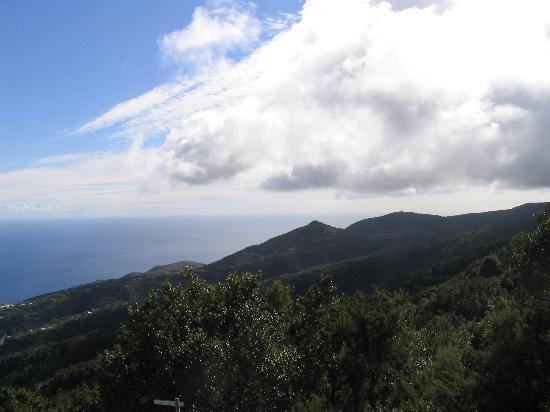 the-view-just-outside