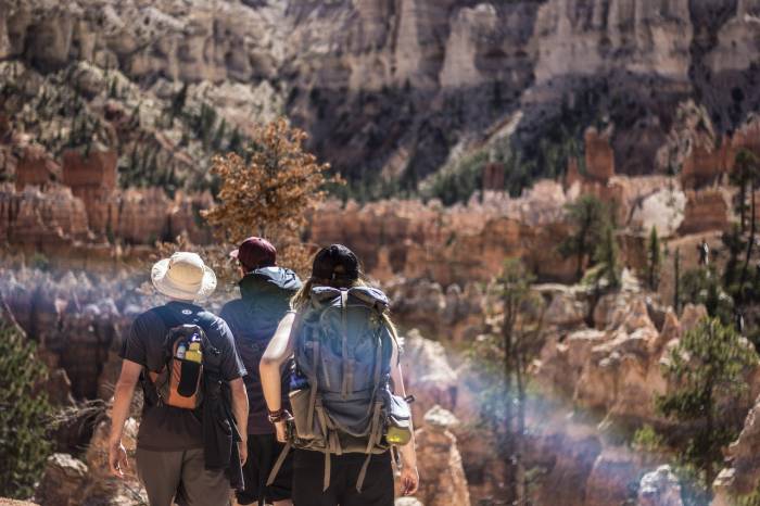 Viajar en grupo (Foto: Pixabay)
